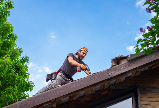 Best Roof Leak Repair  in Sinton, TX