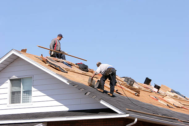 Best Metal Roofing Installation  in Sinton, TX